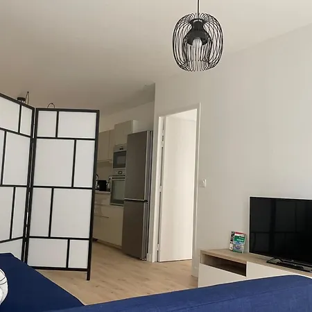 Spacious Of 120 M In Apartment Gujan-Mestras